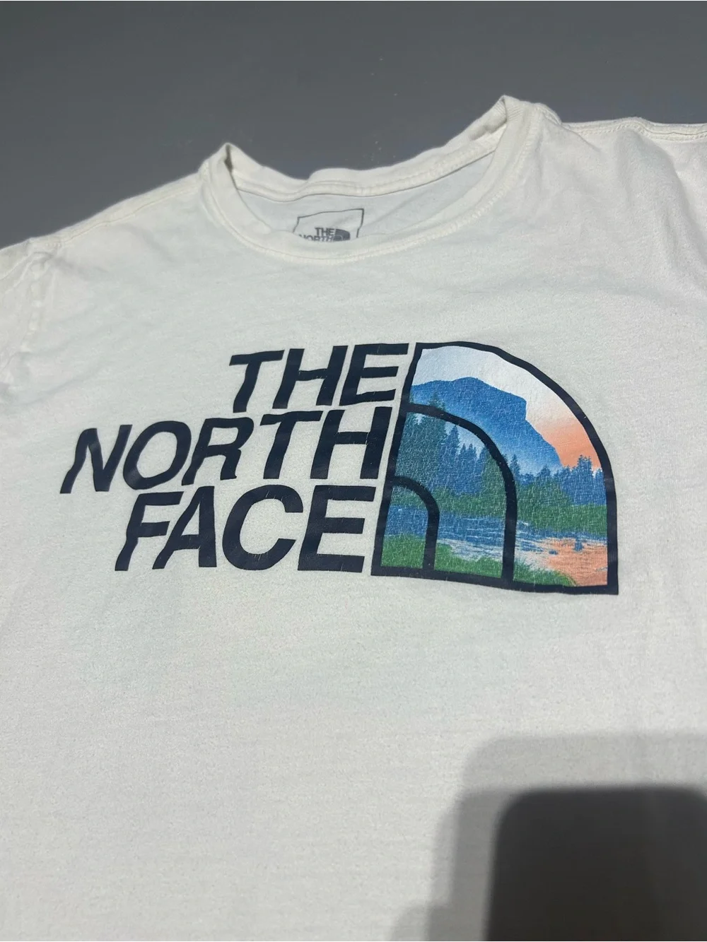 The North Face Soft Premium Short Sleeve Tee Shirt (Men’s Large)